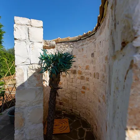 Willa Letto D'alloro - Royal Dream *