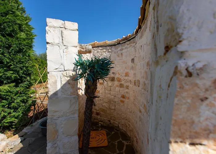 Willa Letto D'alloro - Royal Dream *